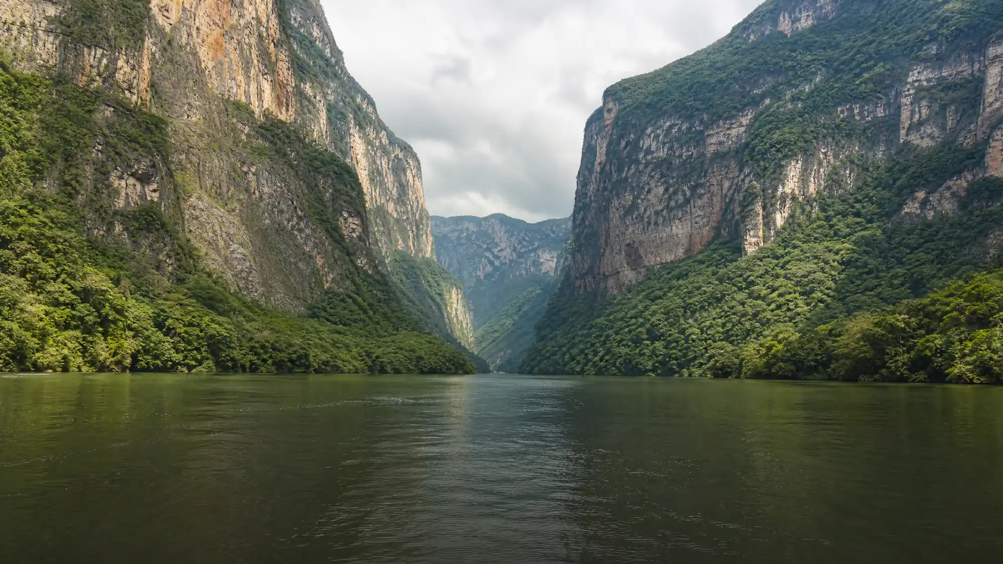 Navigate a 13-kilometer gorge with walls reaching 1,000 meters high. See crocodiles and spider monkeys on a 2-hour guided boat tour.
