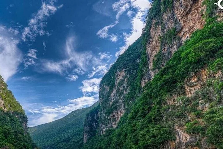 Steep rocky cliffs covered with green vegetation in Sumidero Canyon.